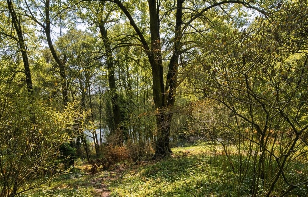 GROSSES WASSERGRUNDSTÜCK IN BESTER GRUNEWALD-LAGE