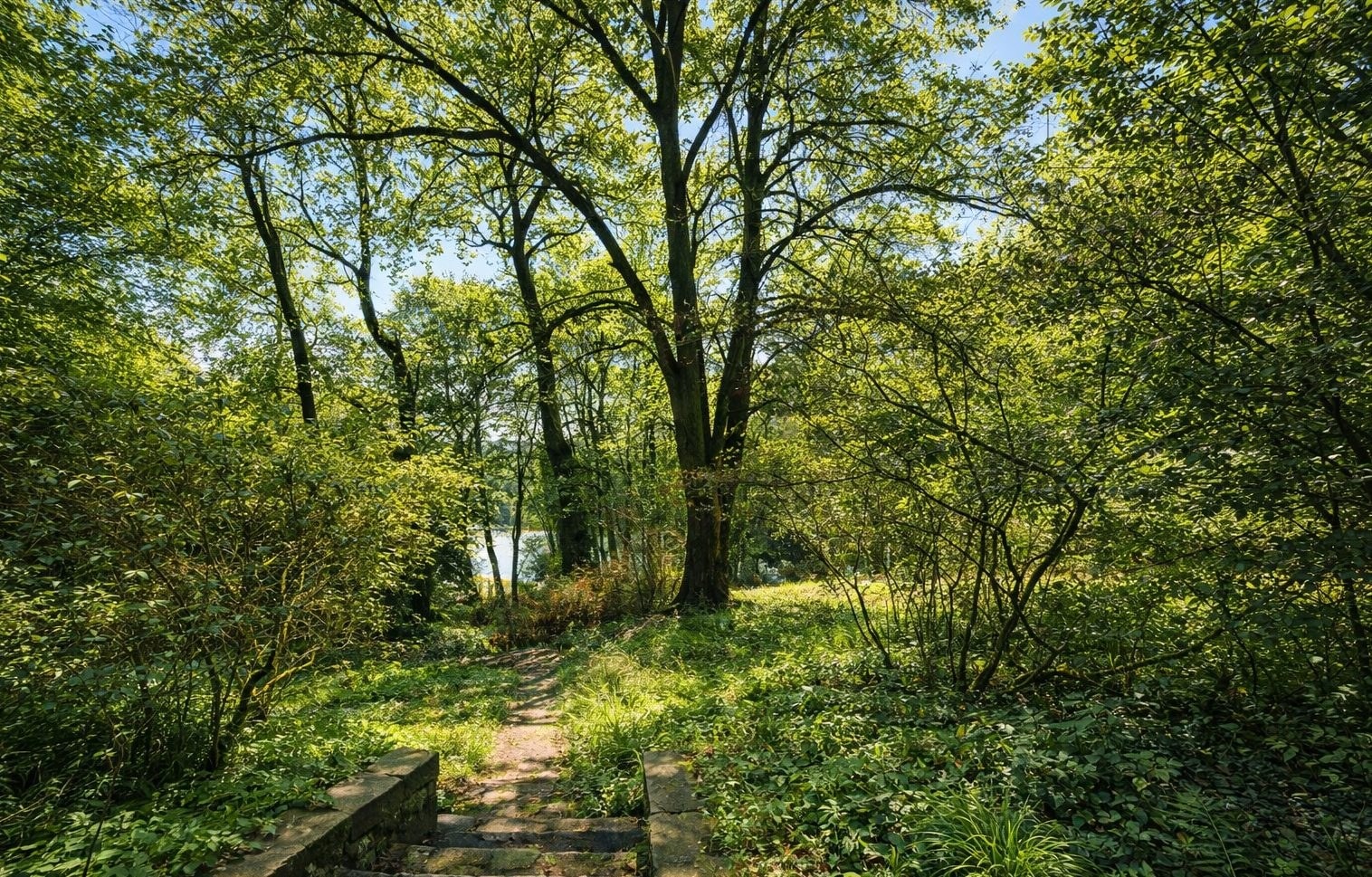GROSSES WASSERGRUNDSTÜCK IN BESTER GRUNEWALD-LAGE — 3